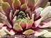 New York City