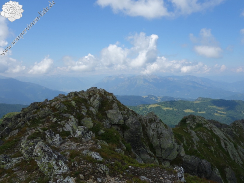 heuffelii from Hridski krš