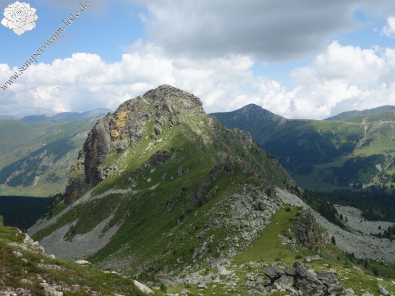 marmoreum from Krš Bogićevica