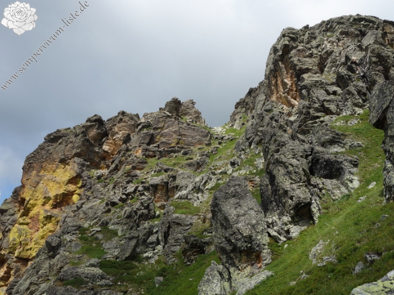 marmoreum from Krš Bogićevica