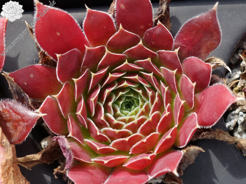 aufgenommen am 26. August 2022