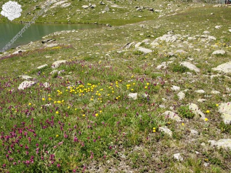 ekimii from Büyükdeniz Gölu
